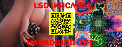 сатива Заволжье