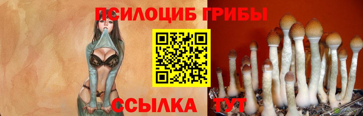 Карабулак  Галлюциногенные грибы ЛСД  Вход с VPN 